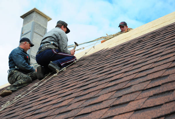 Best Storm Damage Roof Repair  in Rusk, TX
