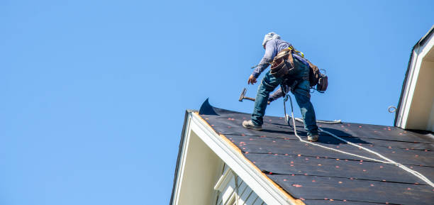 Best Roof Gutter Cleaning  in Rusk, TX